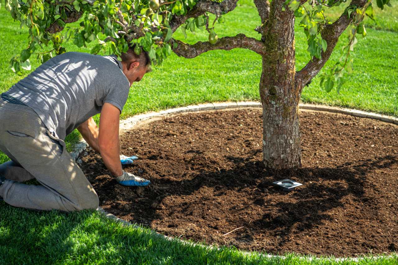 Clermont Florida Lawn Care - Mulch Installation