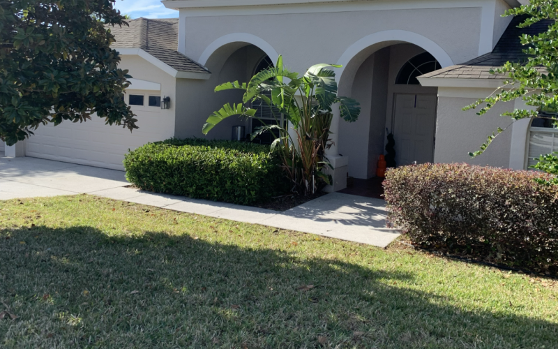 Clermont Lawn Service - Greenscape Turf